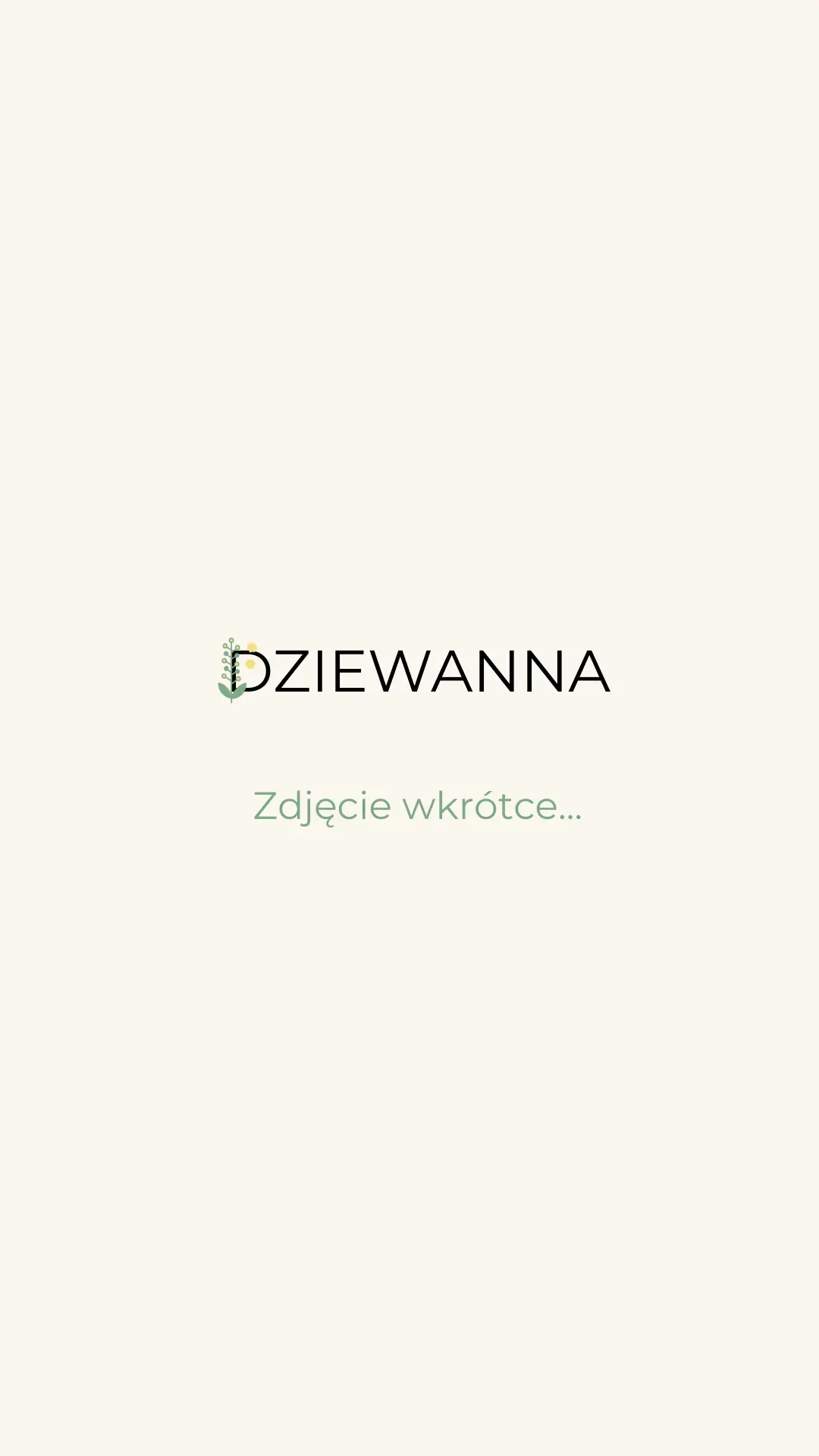 Ustka – plaża i promenada